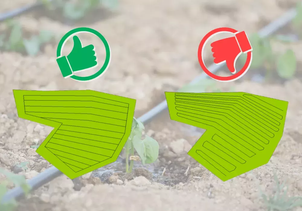 Nieuws - Droogte - Druppeldarm