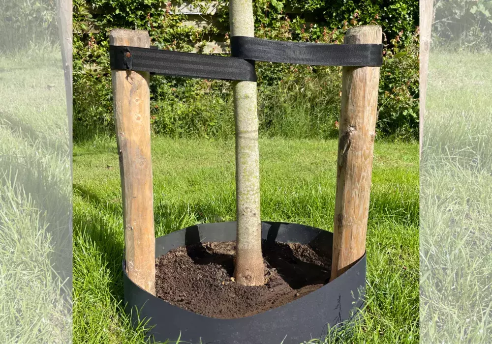 Nieuws - Droogte - Gietrand